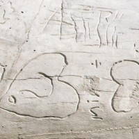 detail 393