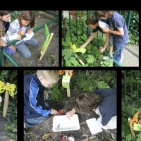 speurtocht collageppt